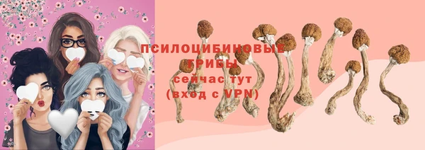 сатива Абинск
