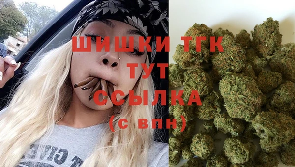 сатива Абинск