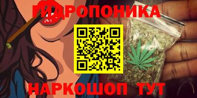 прущие грибы Славгород