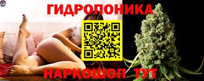 молекула духа Сланцы