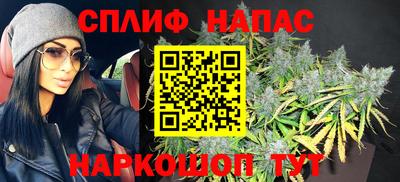 прущие грибы Славгород