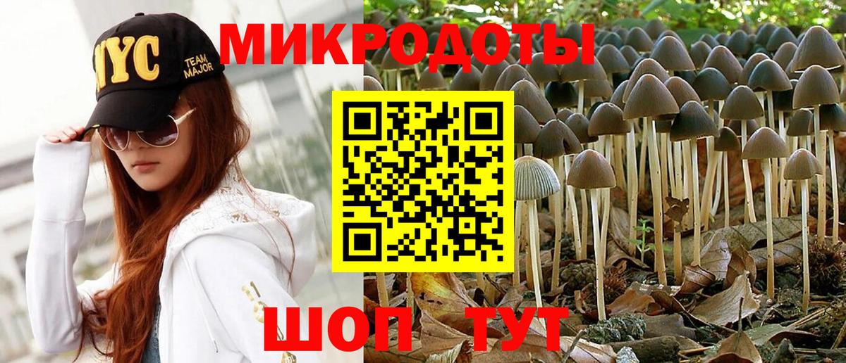 Скопин  Псилоцибиновые грибы Psilocybine cubensis  Вход с VPN 